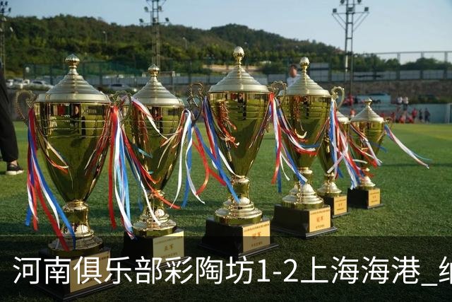 河南俱乐部彩陶坊1-2上海海港 纳萨里奥破门
